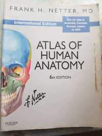 Атлас анатомії людини Неттер 6 видання (англійською)