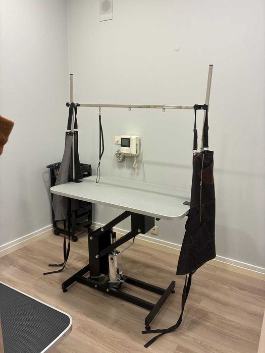 Banhos e Tosquias - Venda de empresa