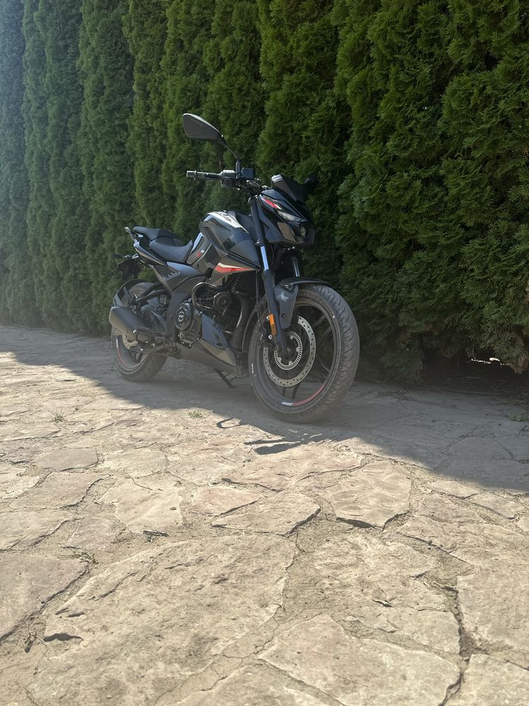 Bajazh pulsar ns250