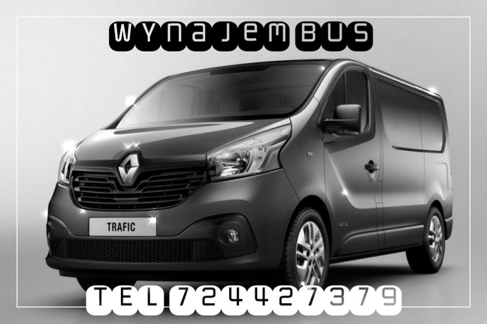 Wynajem bus 9 osobowy wypożyczalnia Brzozów Sanok Bieszczady