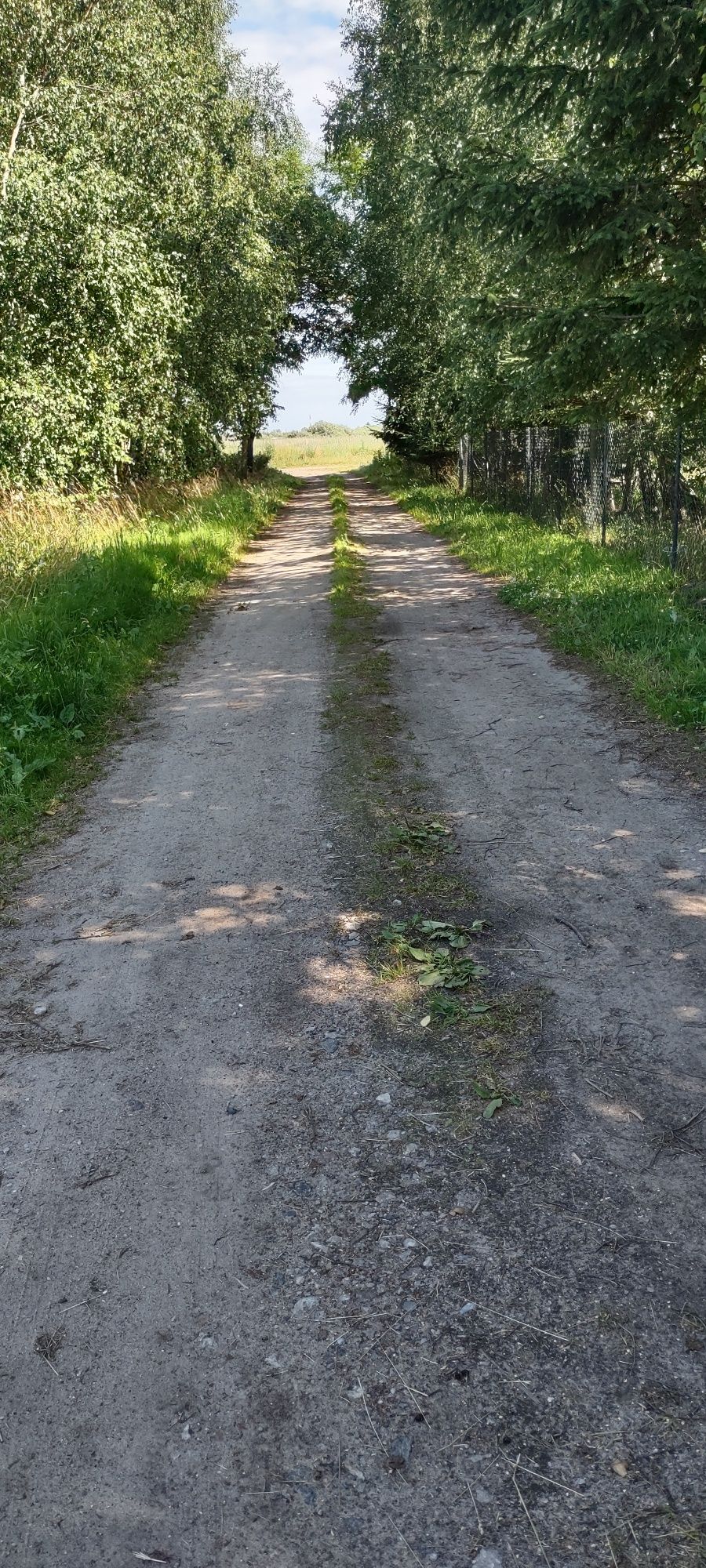 Atrakcyjna działka i atrakcyjna cena  nad morzem pod Darłówkiem zachod