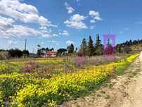 Terreno -Empreendimento Turístico - Praia de Santa Cruz