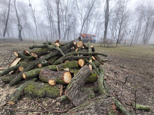 Зрізання дерев.Чистка ділянки.Косіння.Вирівнювання.Корчування пнів.