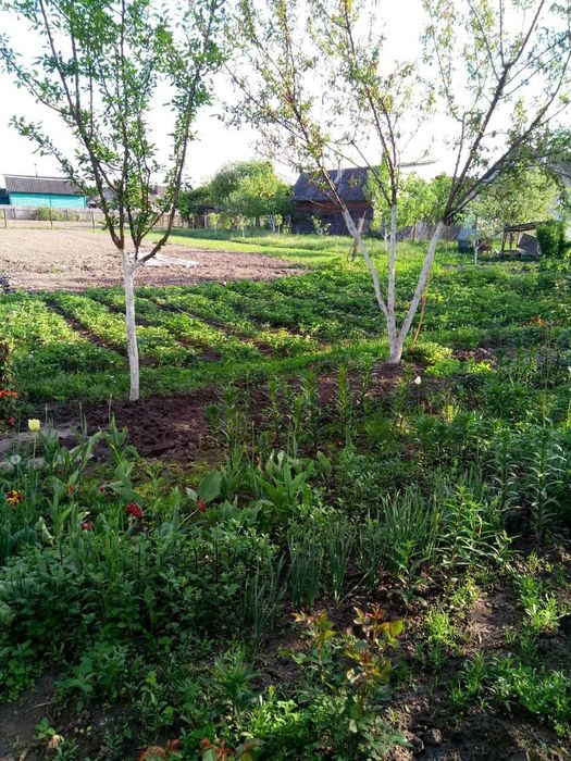 Приватний будинок з усіма зручностями