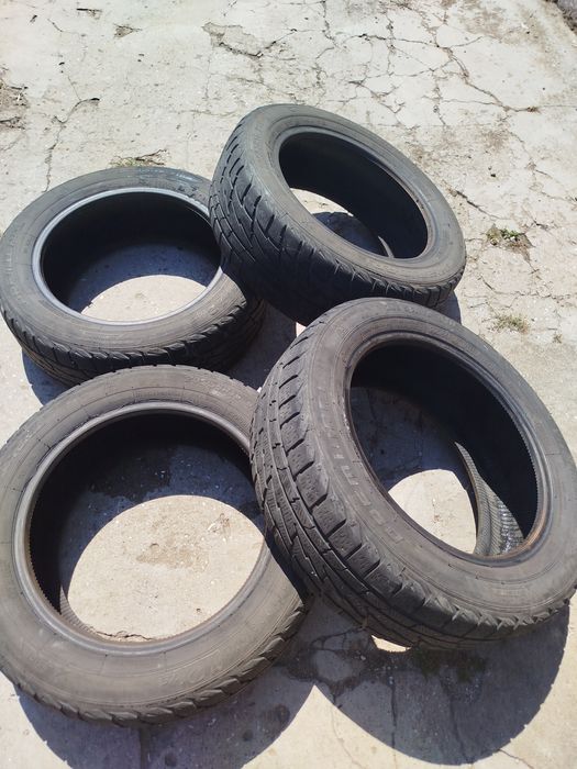 Зимние шины premiori 205/55 r 16 91 h