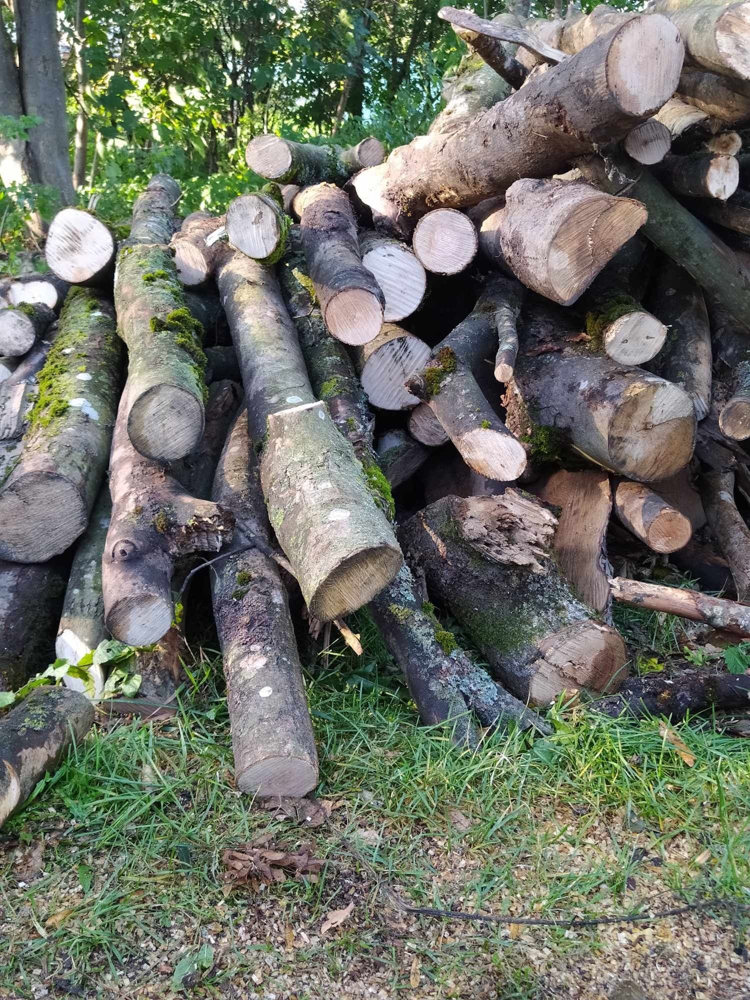 Sprzedam drewno/ drzewo opalowe