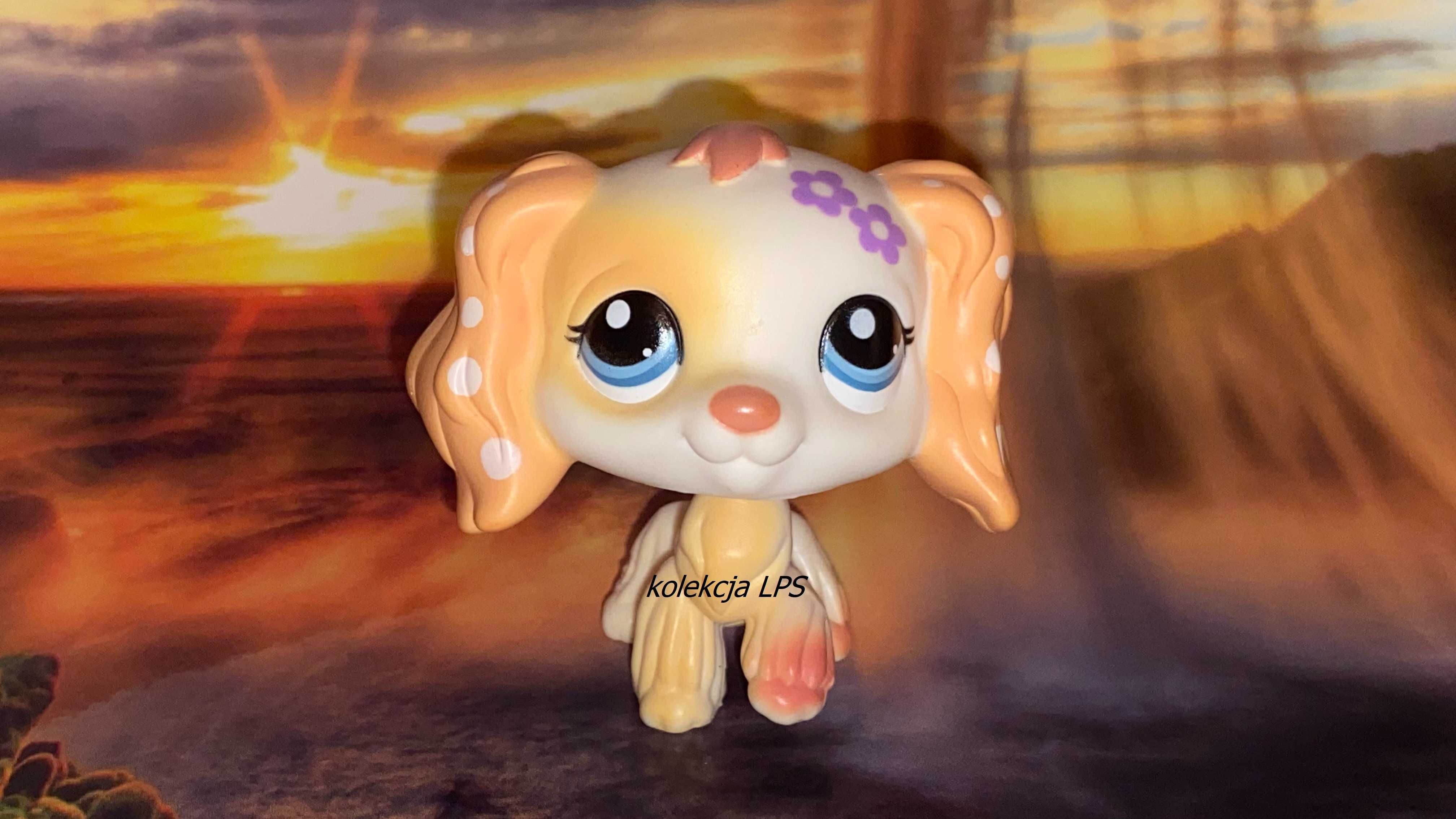 LPS Littlest Pet Shop spaniel #1615 oryginalny oryginał UNIKAT POP