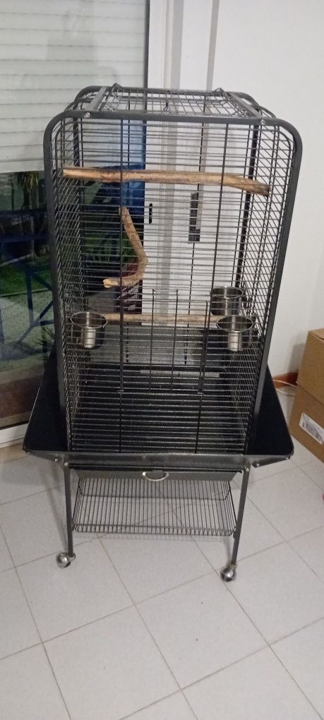 Gaiola para papagaio