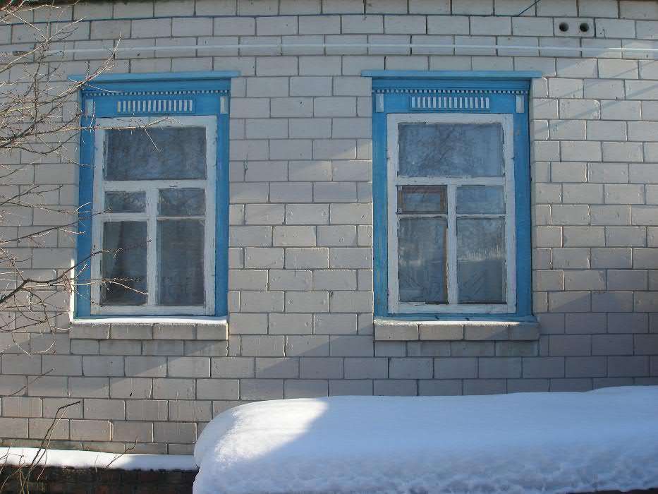Дом с участком в Черниговской области