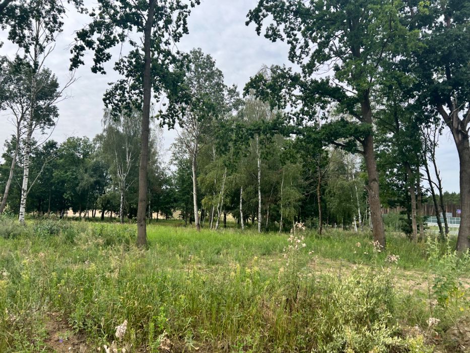 Działka budowlana w Skórzewie nad jeziorem