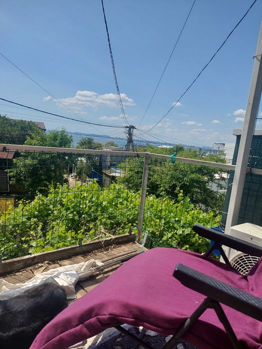 Продам дачу у моря Крижанівка