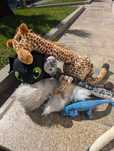 Peluches Variados