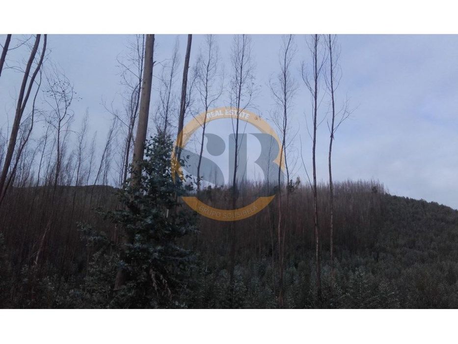 Terreno São Miguel do Mato