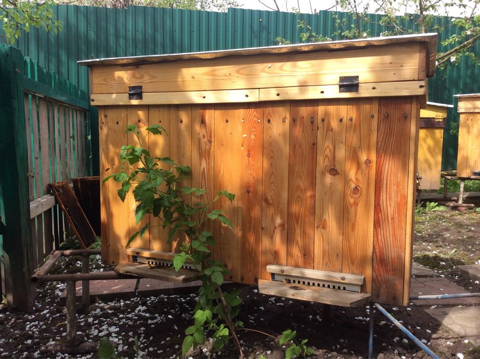 Розпродаж утеплених вуликів дадани і українці,дешево