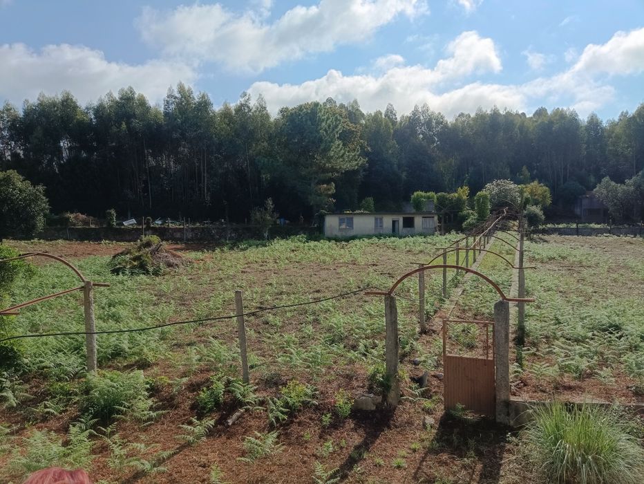 Não Perca! Vende se Quinta em Grijó