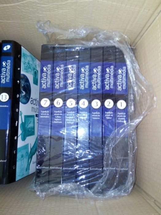 Enciclopédia / Coleção Activa Multimédia Lexicultura