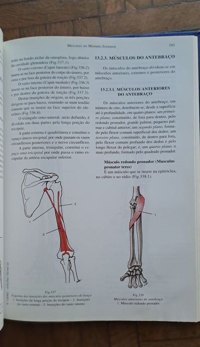 Livro anatomia medicina