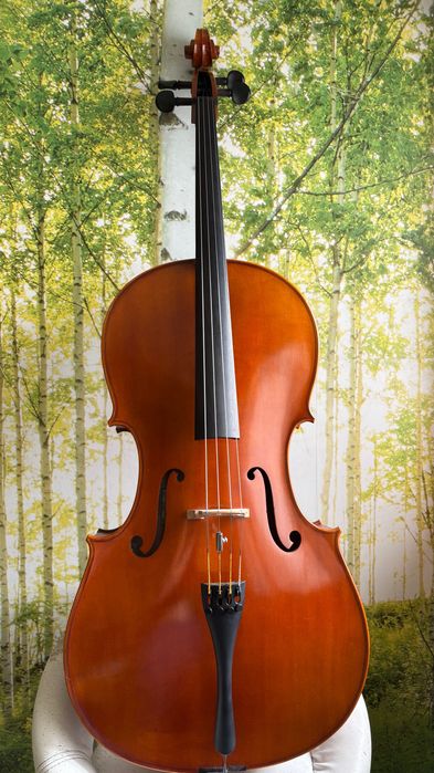 Violoncelo 4/4 seminovo
