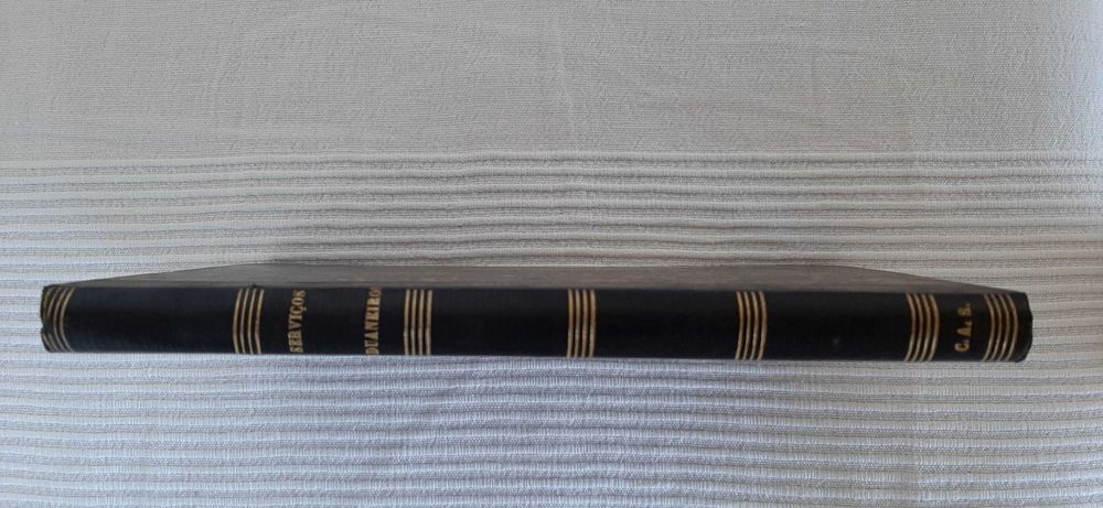 Organização e Regulamento dos Serviços Aduaneiros (1889)