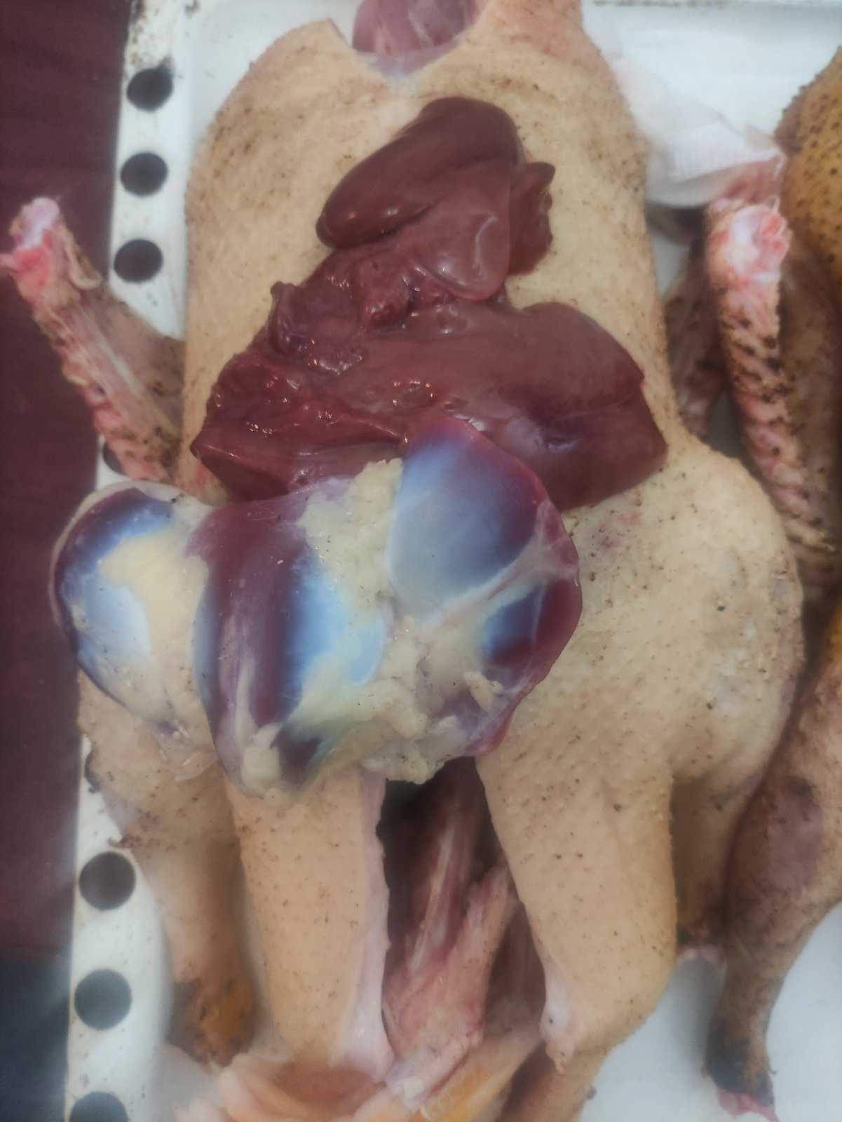 Тушка качки муларда
