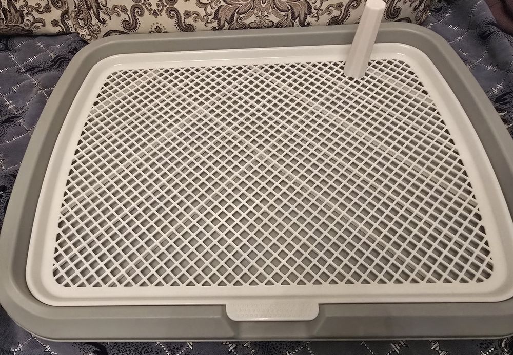 Лоток-туалет для собак