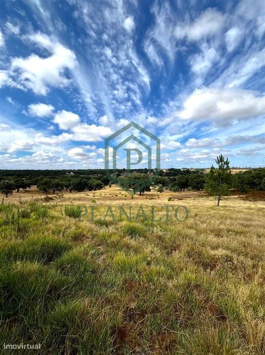 Quinta  Venda em Cortiçadas de Lavre e Lavre,Montemor-o-Novo