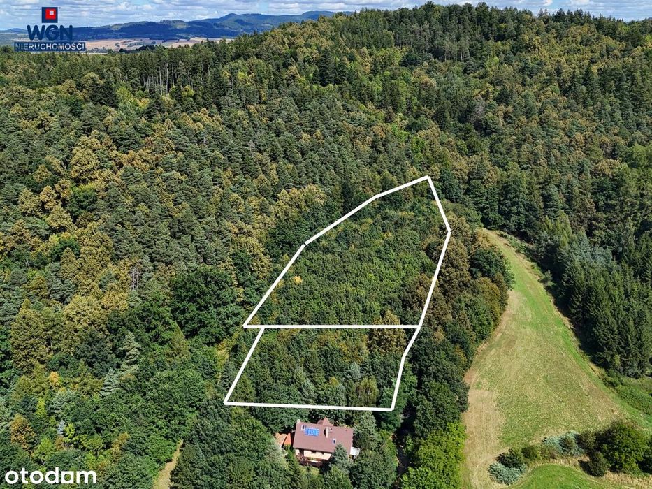 Działka budowlana w sercu Kotliny Kłodzkiej - w otoczeniu gór i lasów.
