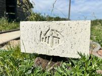 Огнеупорный шамотный печной кирпич Нова Цегла (Чотирбоки), 225*111*65
