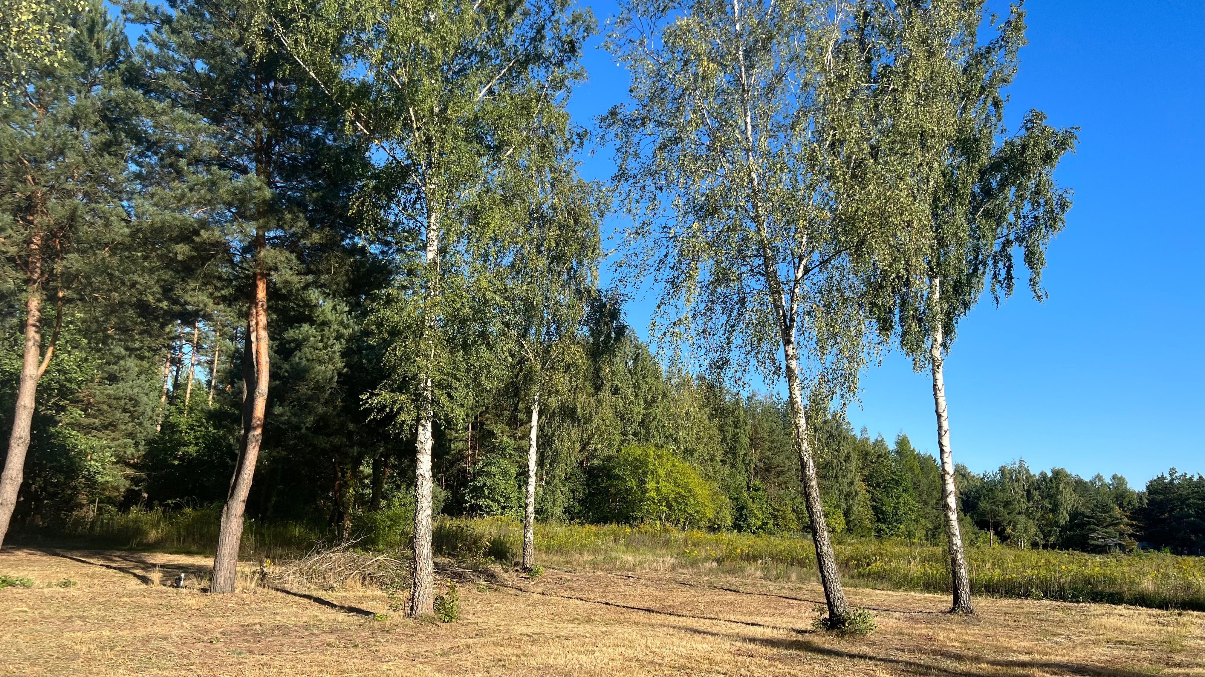 Działka budowlana 1048 m2  Władysławów koło Magdalenki