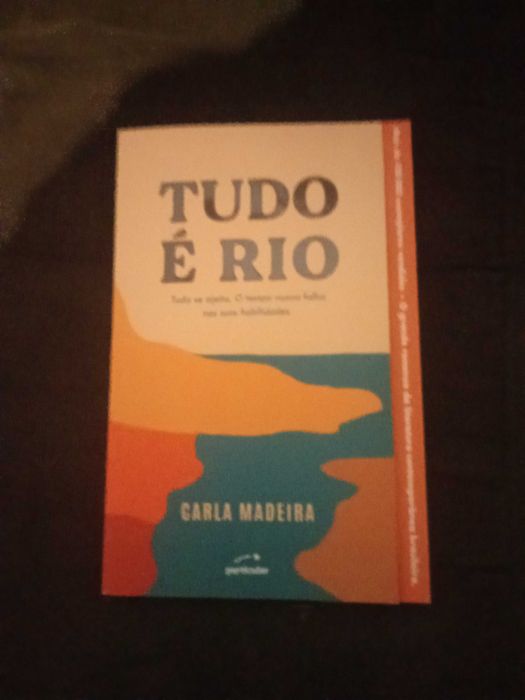 Tudo é rio de Carla Madeira