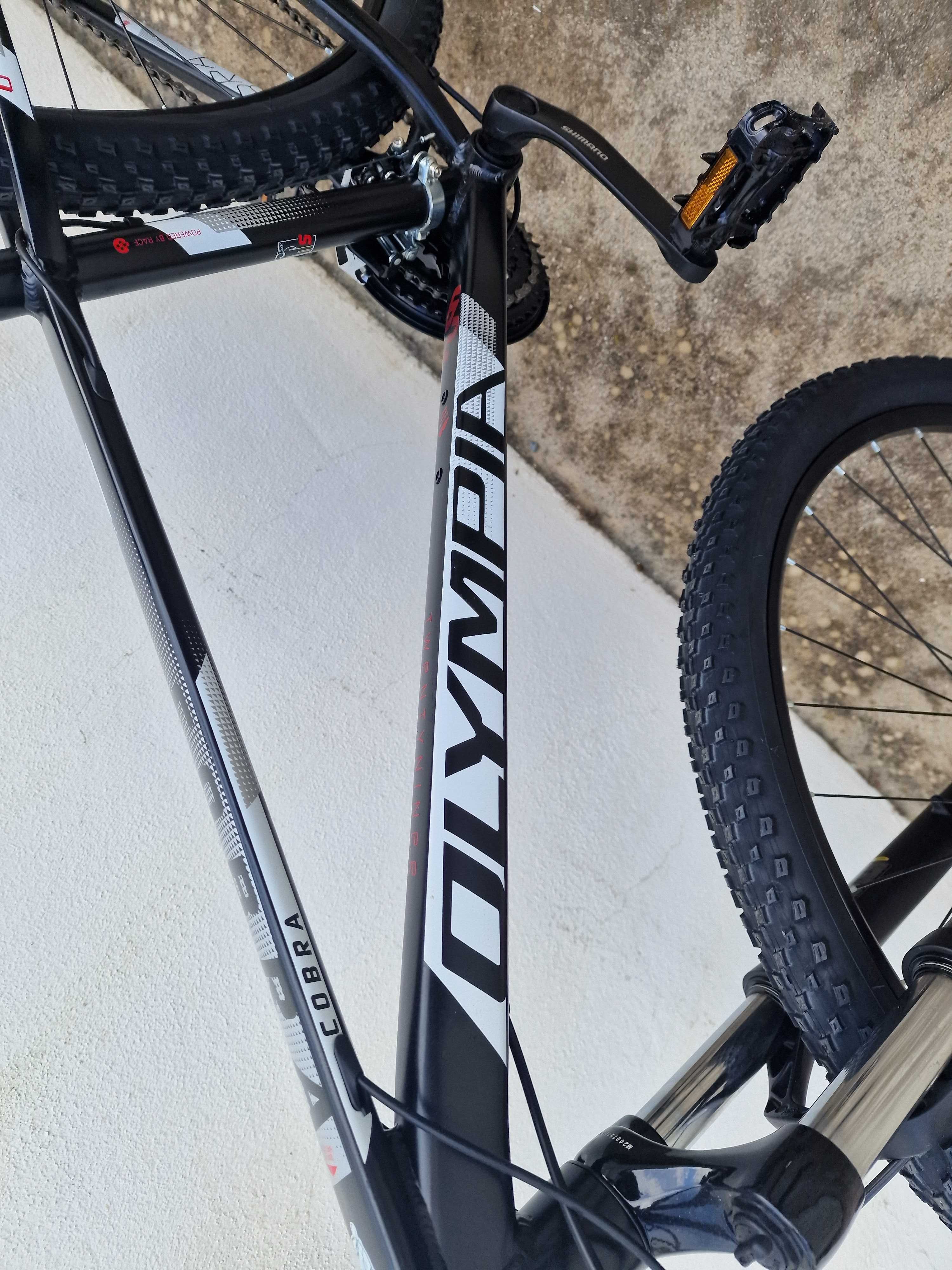 Bicicleta de Montanha (Mountain Bike)