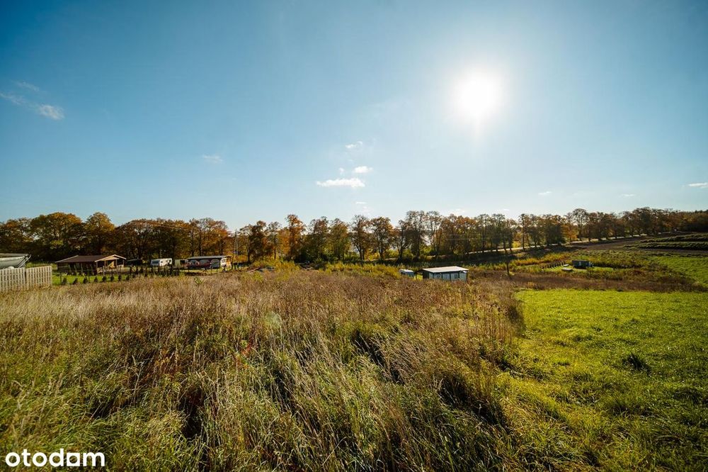 Ostatnie 7 działek nad jeziorem Dzierzgoń!