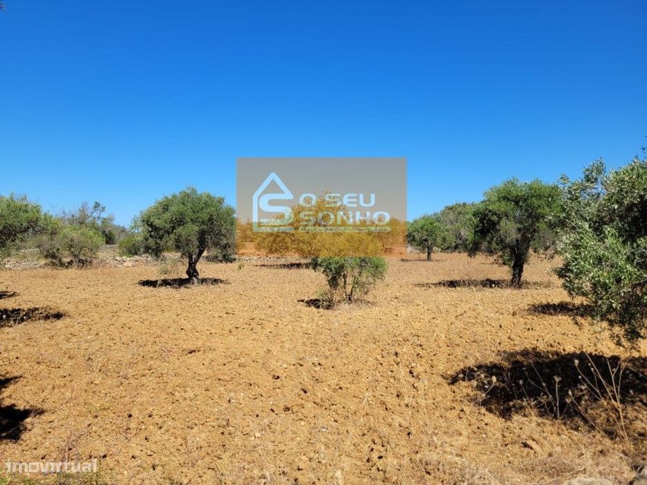 Terreno Rústico plano com acesso pedonal - 4.910 M²