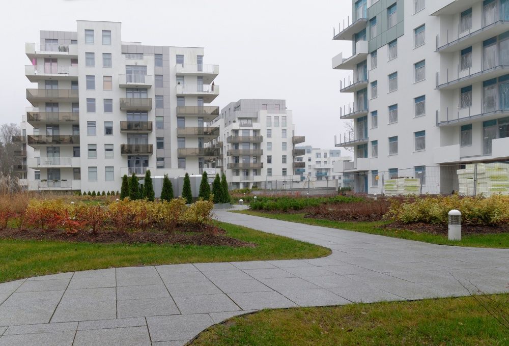 Płytki Szary Granit Płomień 60x60x2 Granitowe Płyty Taras jak Strzegom
