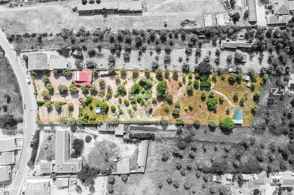 Propriedade com 5.958 m² em Mora – Espaço Versátil com Grande Potencia