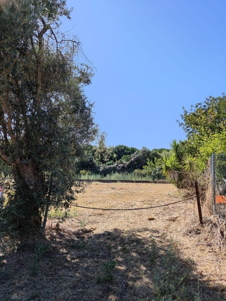 Terreno em Palmela