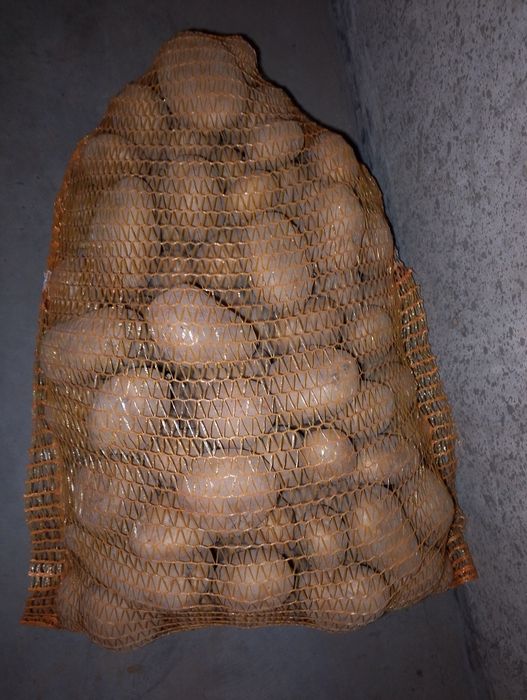 Ziemniaki Ignacy /irga