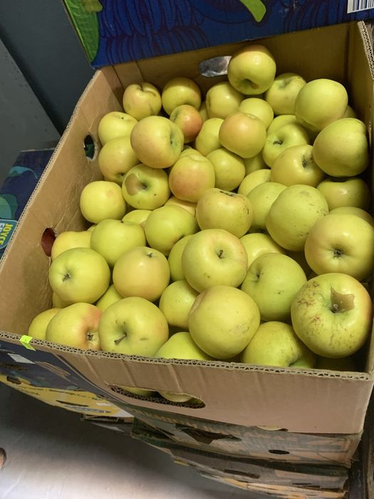 Яблука домашні, різні зимові сорти