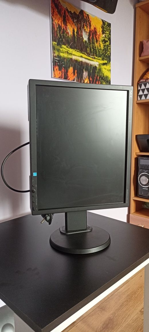 Monitor NEC MultiSync 19"