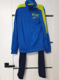 Dres Puma 152cm jak nowy