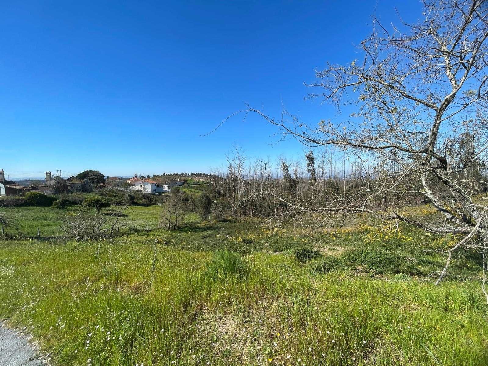 OPORTUNIDADE - Terreno com 1400 m/2 - Construção de 700/m2