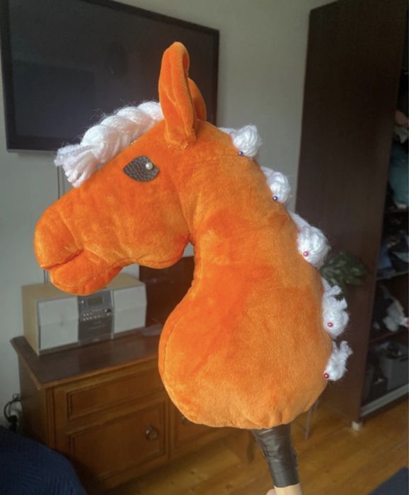 Hobby horse - konik na kiju