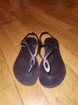 Havaianas roxas originais