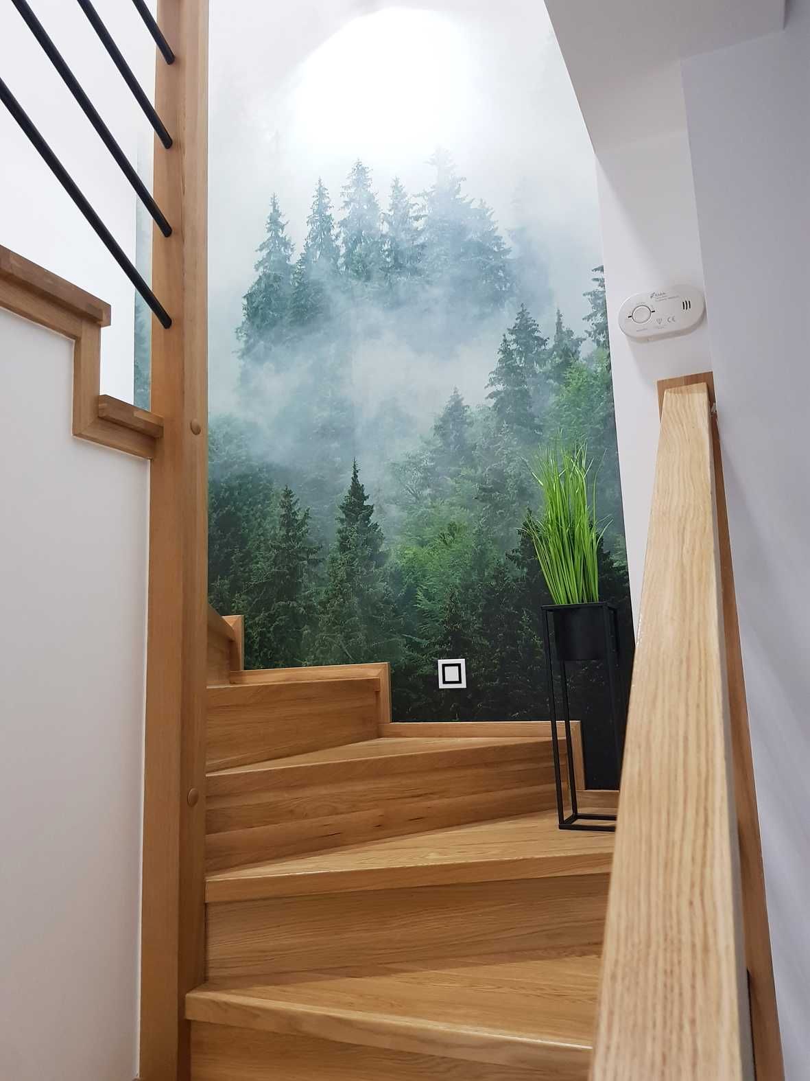 Fototapeta 3d LAS WE MGLE Winylowa Laminowana 400x280 cm