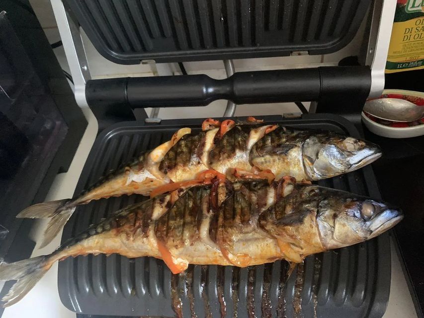 Гриль для стейків та риби. Tefal OptiGrill