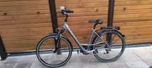 Rower damka/damski Gudereit