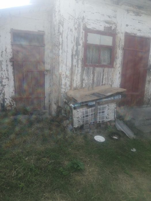 Прев'ю фото 13