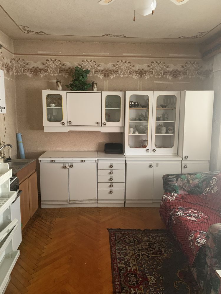 Великий будинок в Ужгороді