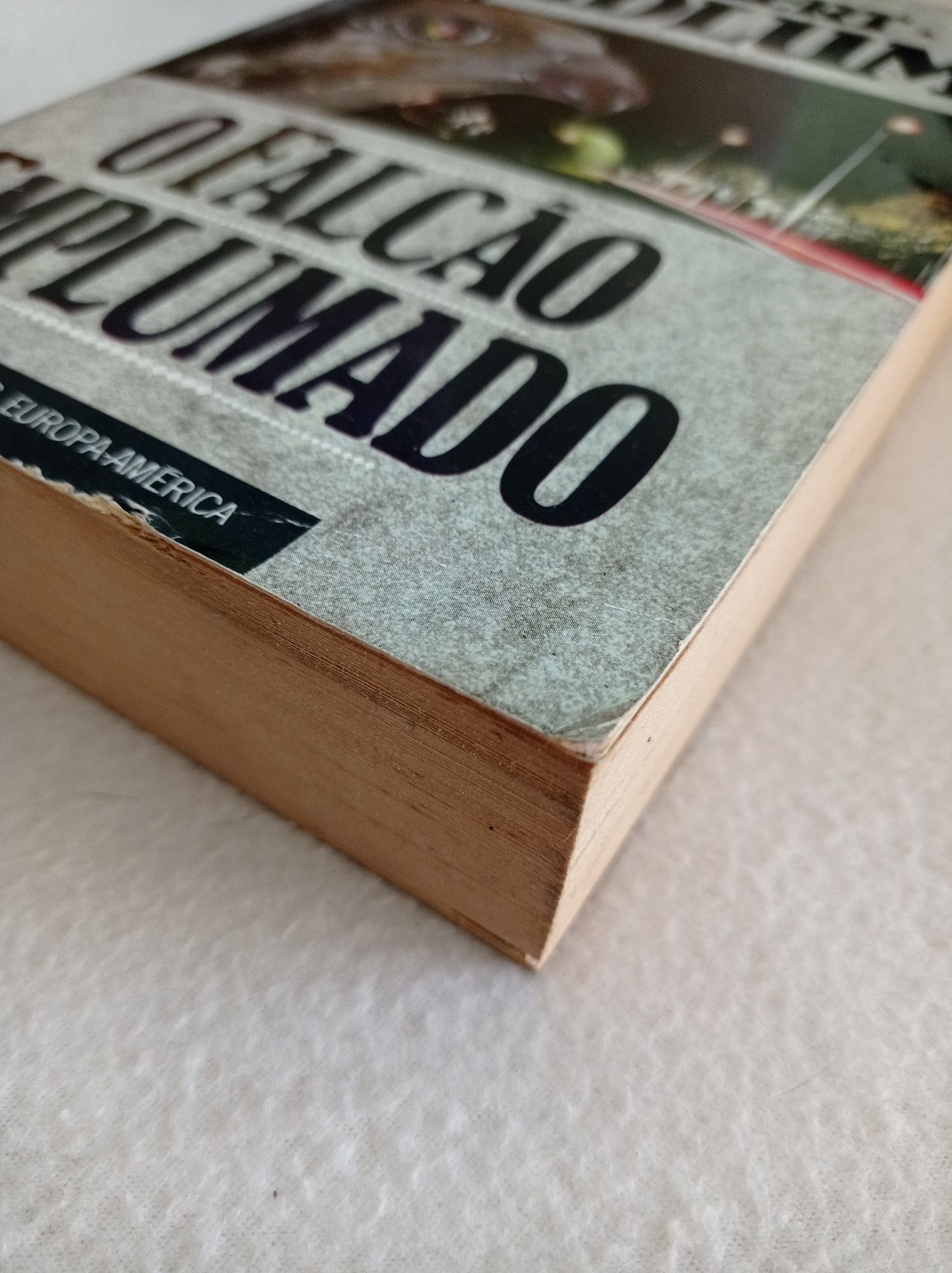 O falcão emplumado - Robert Ludlum