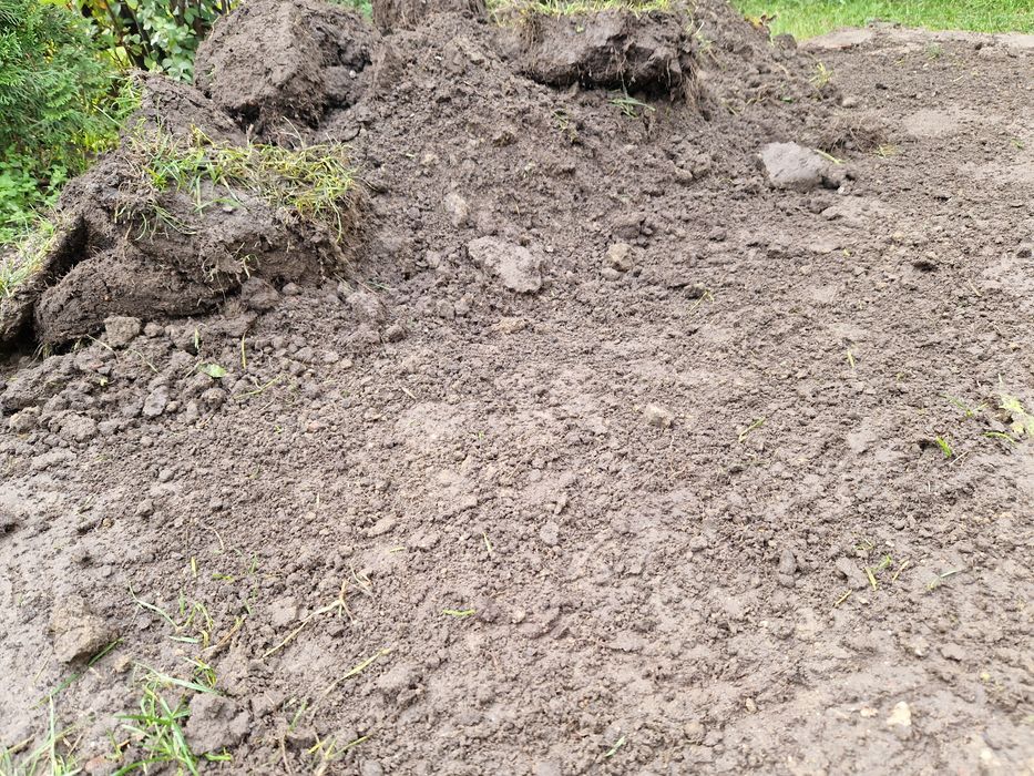 Ziemia ogrodowa z trawą